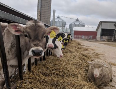 dairy farm tours wisconsin